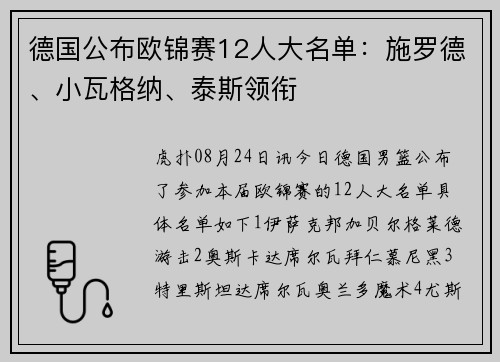 德国公布欧锦赛12人大名单：施罗德、小瓦格纳、泰斯领衔